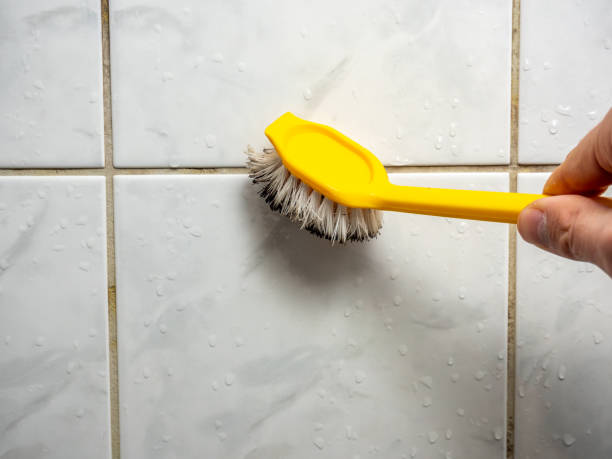 Best Local Mold Removal Service  in Roscommon, MI