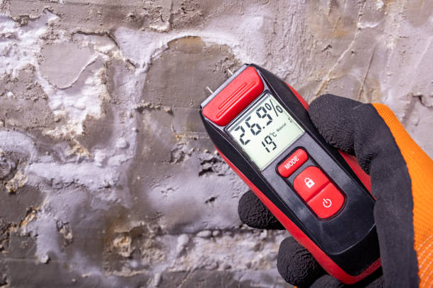 Best Professional Mold Removal  in Roscommon, MI