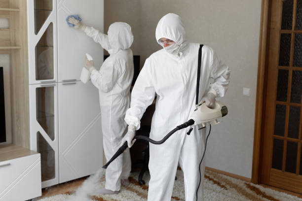 Best Mold Damage Repair  in Roscommon, MI