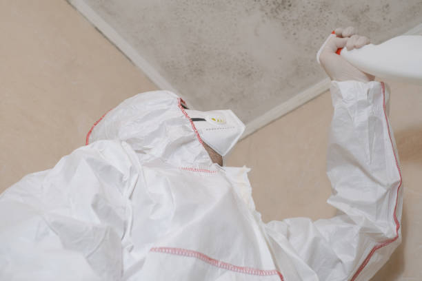 Best Black Mold Removal  in Roscommon, MI