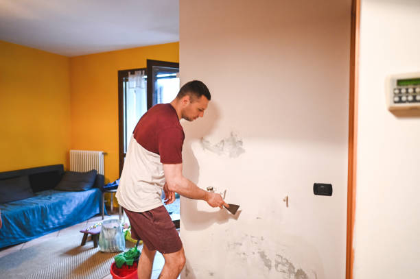 Trusted Roscommon, MI Mold Removal Experts