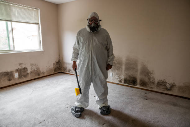 Best Residential Mold Removal  in Roscommon, MI